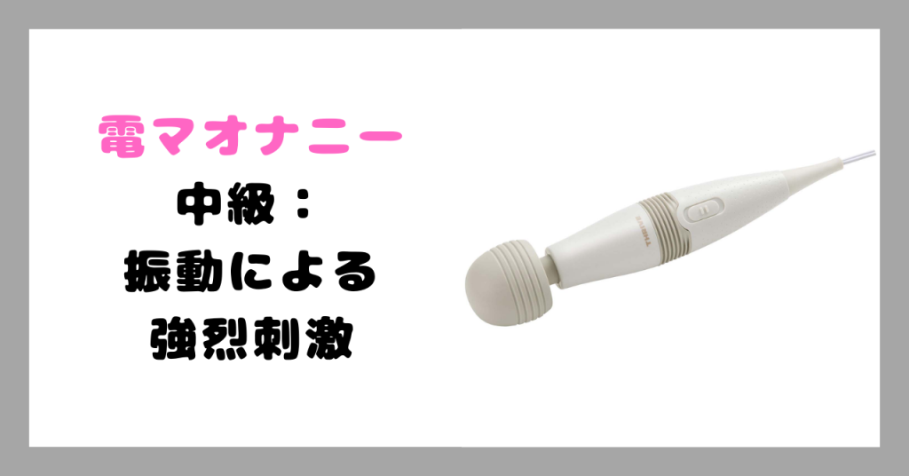 電マオナニー　イメージ画像